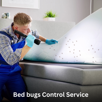 Bed Bugs Control Service